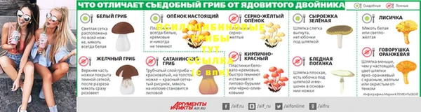 бошки Алексин