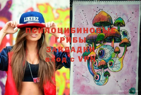гидра Абинск