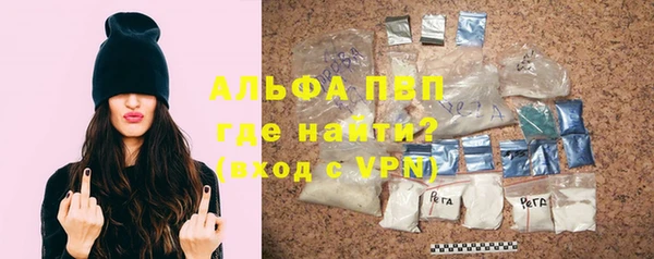 стаф Козловка