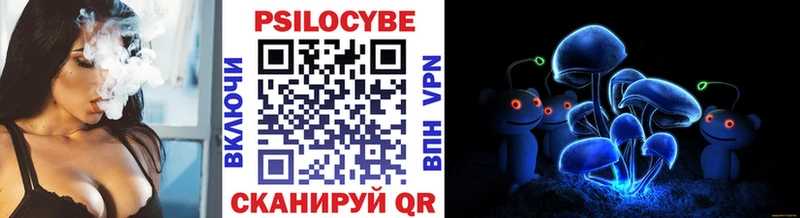 что такое наркотик  Каменногорск  Псилоцибиновые грибы прущие грибы 