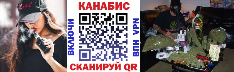 мега ссылки  купить наркотики цена  Каменногорск  Бошки Шишки гибрид 