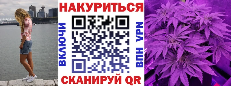 Конопля гибрид Каменногорск